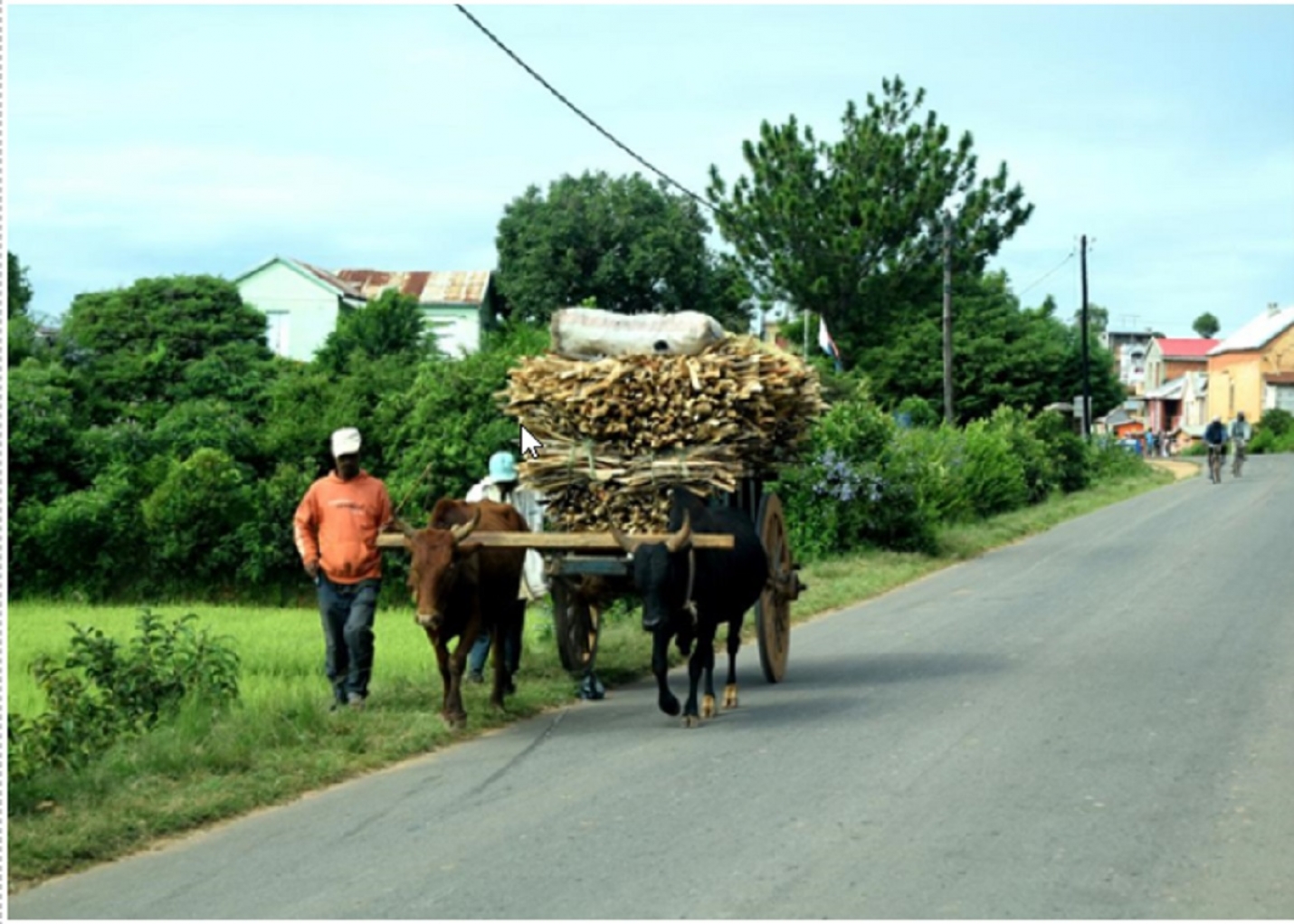D&eacute;veloppement durable&nbsp; -&nbsp;Endettement et variable&nbsp;Covid&nbsp;